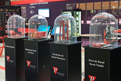 GLOBE-VERRE-VERAMY-POUR-SALON-PROFESSIONNEL