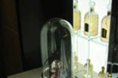 PARFUM-DEXCEPTION-SOUS-CLOCHE-EN-VERRE-DANS-BOUTIQUE-LUXE