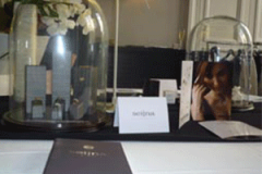 PRODUITS-PROTEGES-ET-MIS-EN-VALEUR-SOUS-GLOBE-EN-VERRE-PRESENTATION-PRESSE