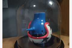 GLOBE-EN-VERRE-POUR-PROTEGER-OBJETS-CERAMIQUE