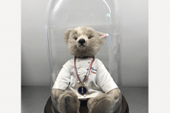 MEDAILLE-ET-TROPHEE-MERITE-SOUS-CLOCHE